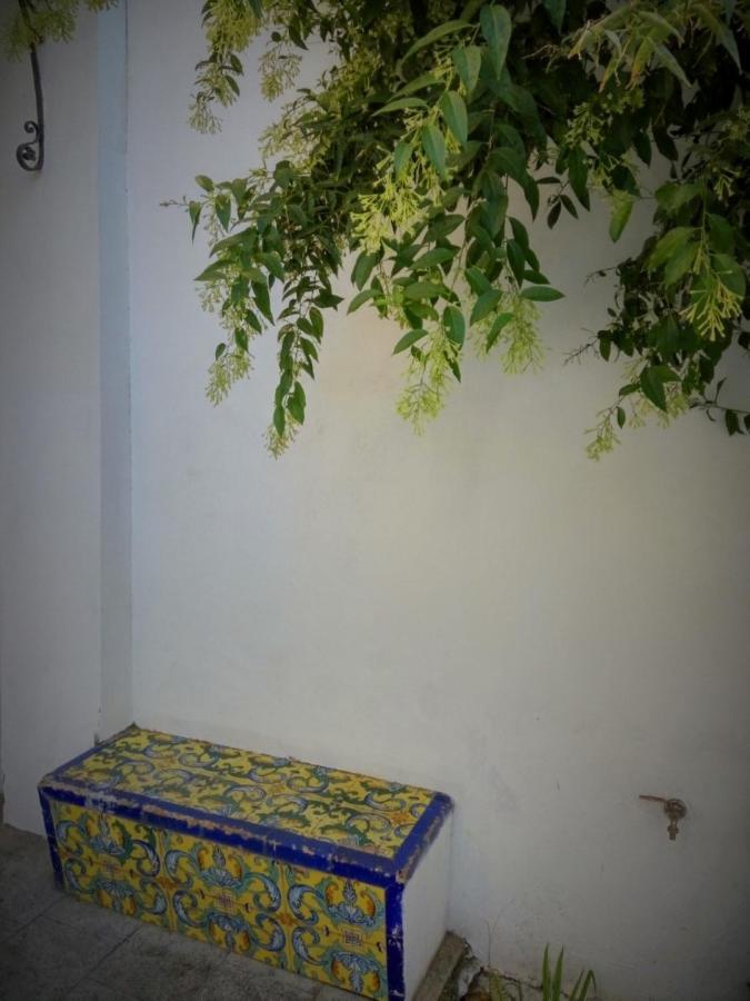 Apartment Alacas Sevilla Bagian luar foto