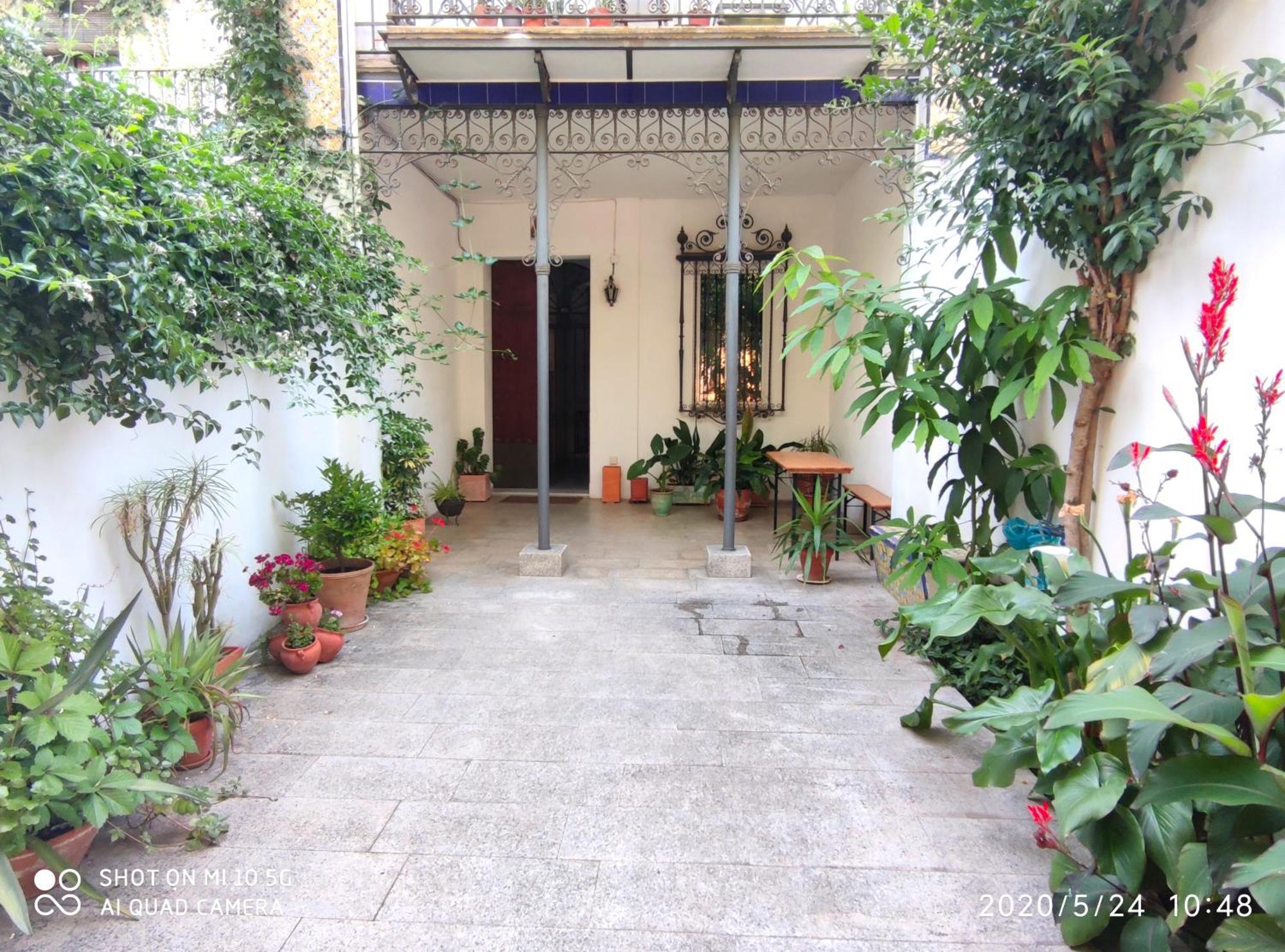 Apartment Alacas Sevilla Bagian luar foto